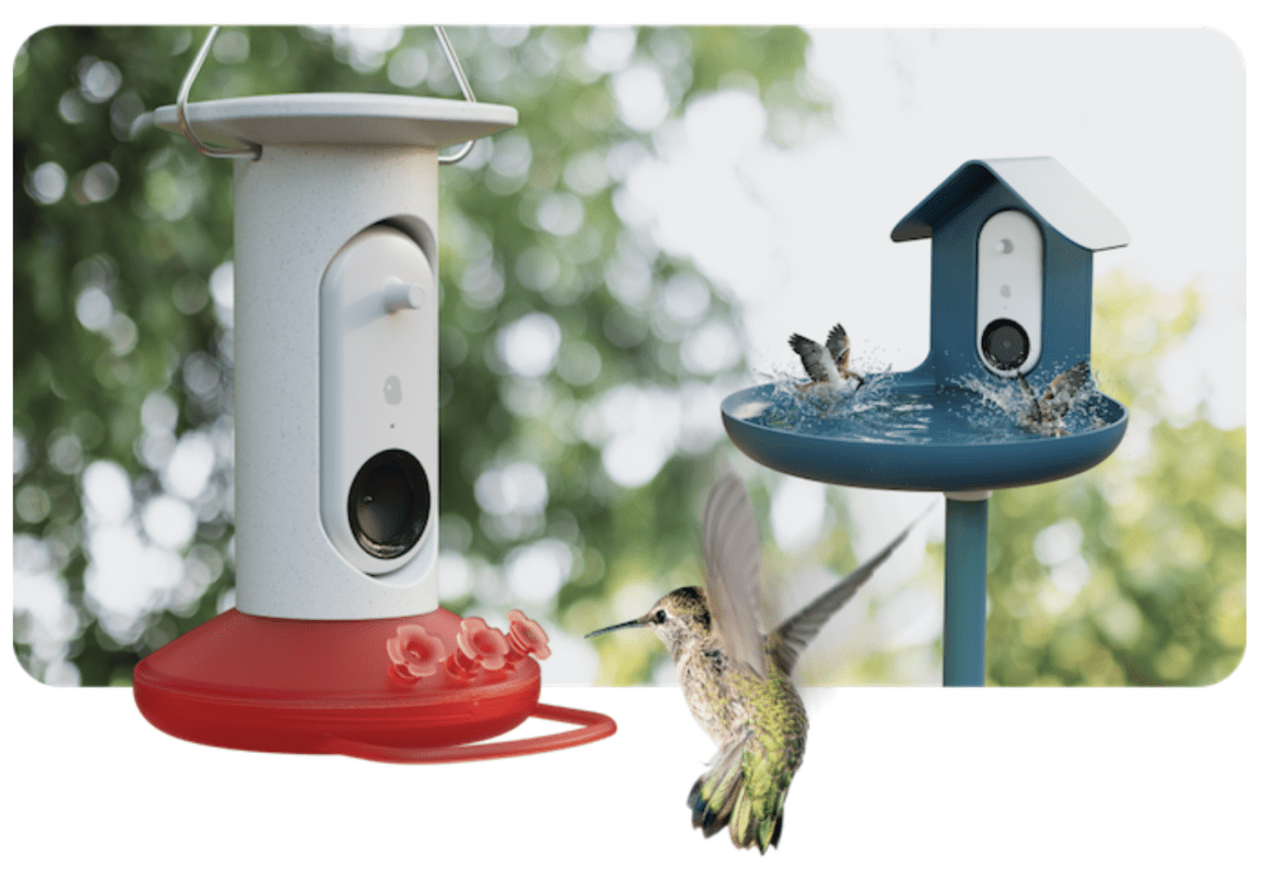 Bird Buddy: Co-Living with nature in the digital age - Eclectic Trends