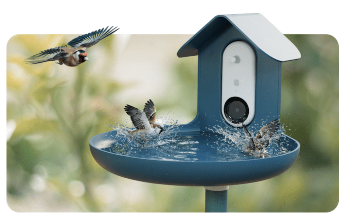 Bird Buddy: The smart feeder for bird lovers
